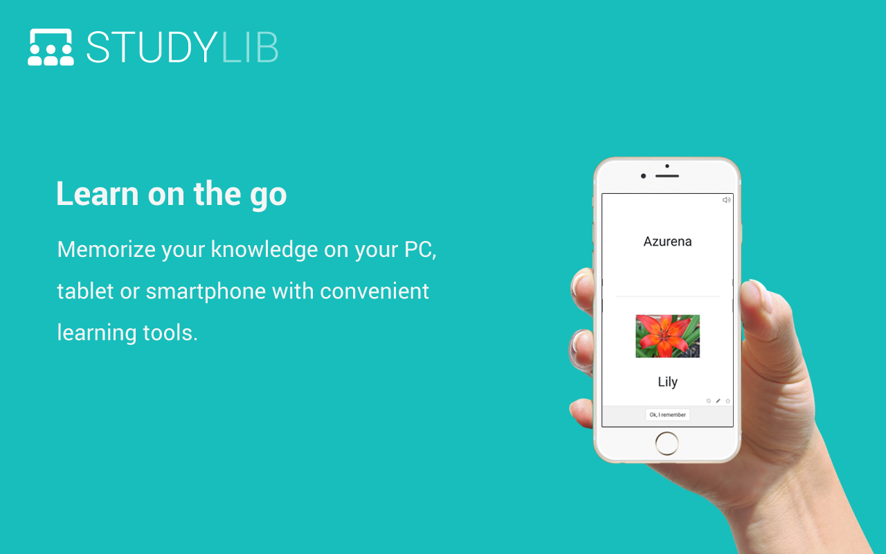 Dictionary and Flashcards chrome谷歌浏览器插件_扩展第2张截图