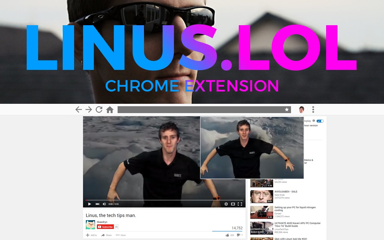Linus.lol chrome谷歌浏览器插件_扩展第1张截图