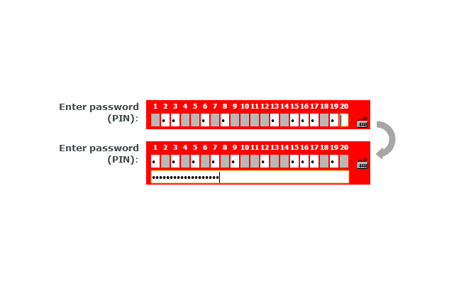 Regular password field for BZWBK24 chrome谷歌浏览器插件_扩展第1张截图