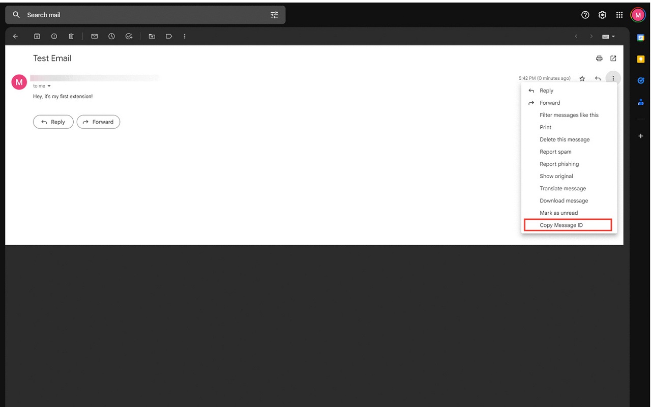 Copy Gmail Message-Id chrome谷歌浏览器插件_扩展第1张截图