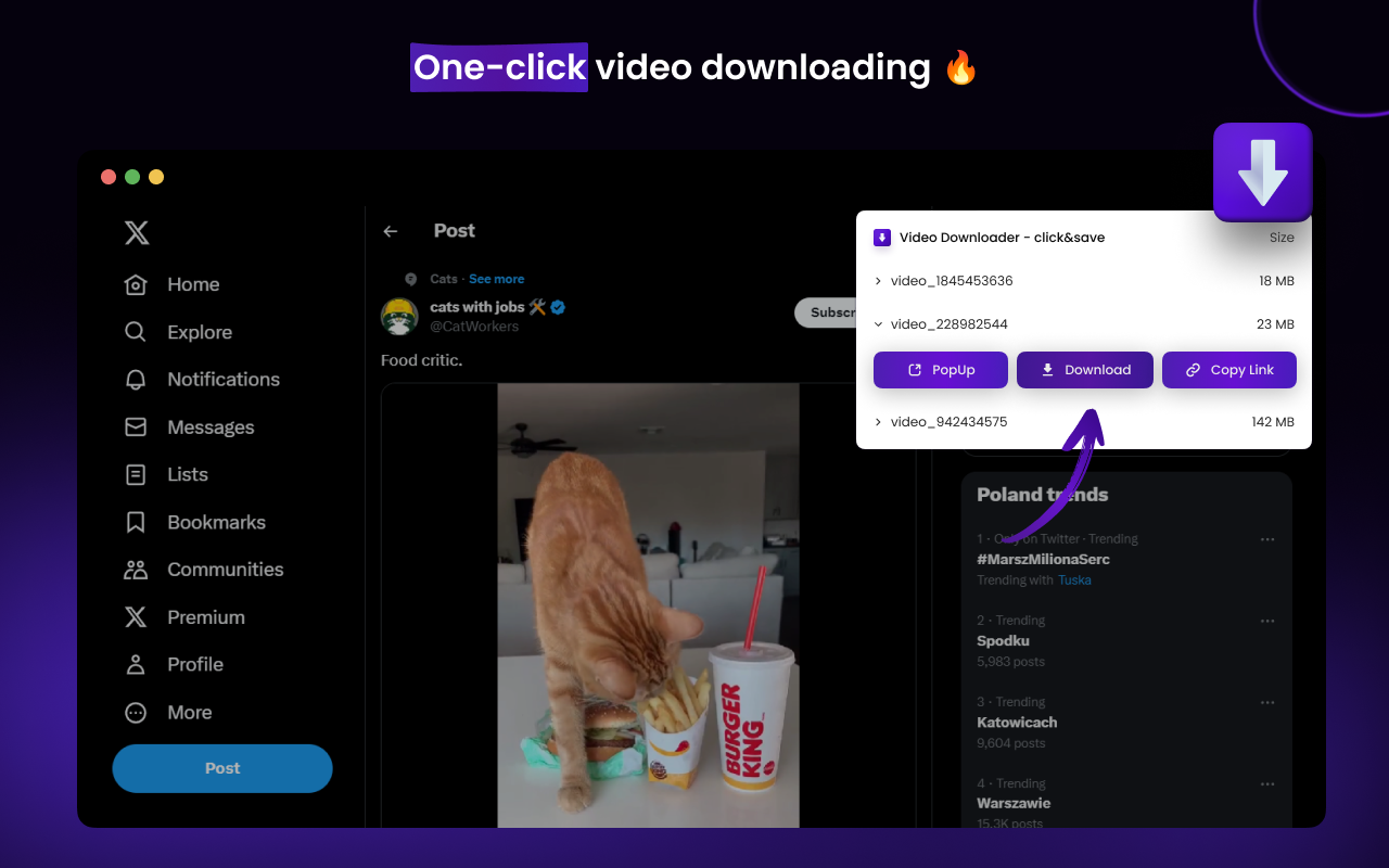Video Downloader - click&save chrome谷歌浏览器插件_扩展第1张截图