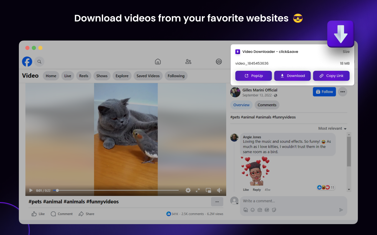 Video Downloader - click&save chrome谷歌浏览器插件_扩展第2张截图