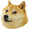 DogeCam