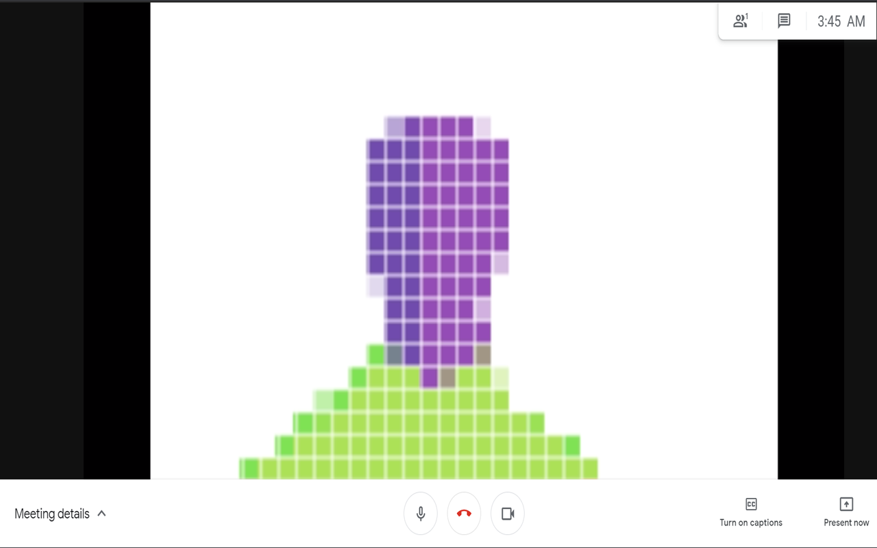 DogeCam chrome谷歌浏览器插件_扩展第2张截图