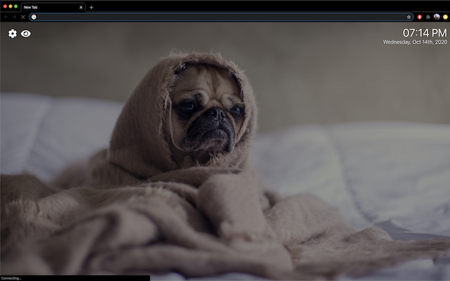 DogTab chrome谷歌浏览器插件_扩展第1张截图