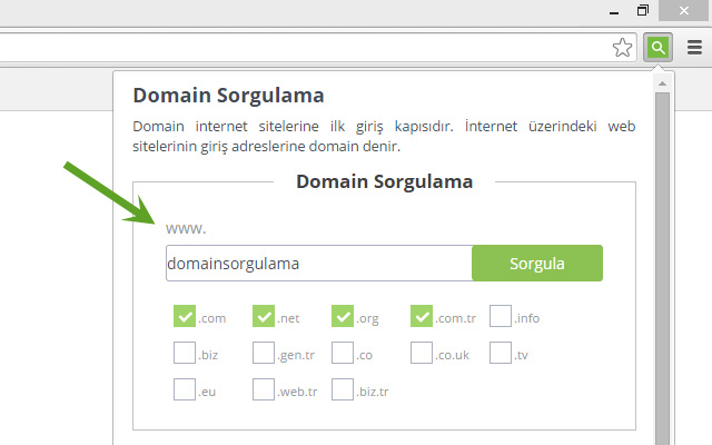 Domain Sorgulama - domainsorgulama.net chrome谷歌浏览器插件_扩展第1张截图