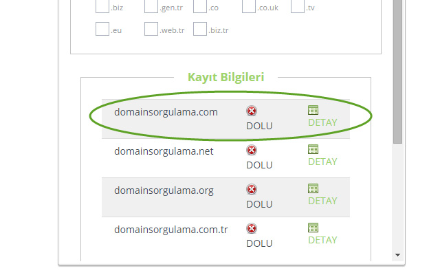 Domain Sorgulama - domainsorgulama.net chrome谷歌浏览器插件_扩展第2张截图