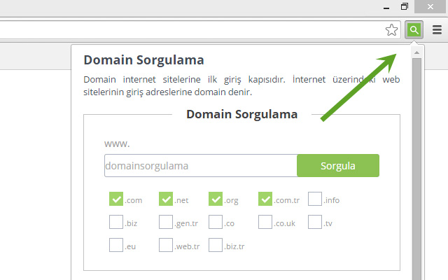 Domain Sorgulama - domainsorgulama.net chrome谷歌浏览器插件_扩展第4张截图