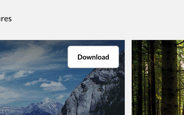 GetGetty Extension chrome谷歌浏览器插件_扩展第2张截图