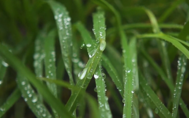 Touch Grass chrome谷歌浏览器插件_扩展第5张截图