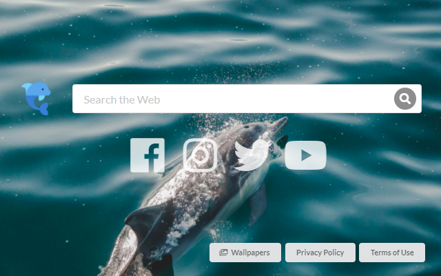 Happy Dolphin Club chrome谷歌浏览器插件_扩展第1张截图