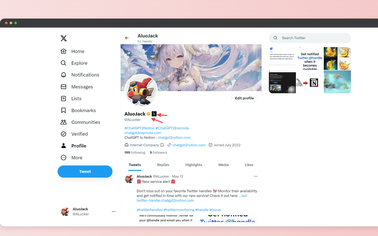 save twitter user profile to notion chrome谷歌浏览器插件_扩展第1张截图