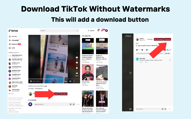 Download, Sort, Transcribe TikTok - TokScribe chrome谷歌浏览器插件_扩展第2张截图