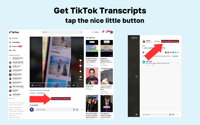 Download, Sort, Transcribe TikTok - TokScribe chrome谷歌浏览器插件_扩展第3张截图