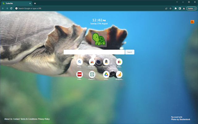 TurtlesTab chrome谷歌浏览器插件_扩展第2张截图