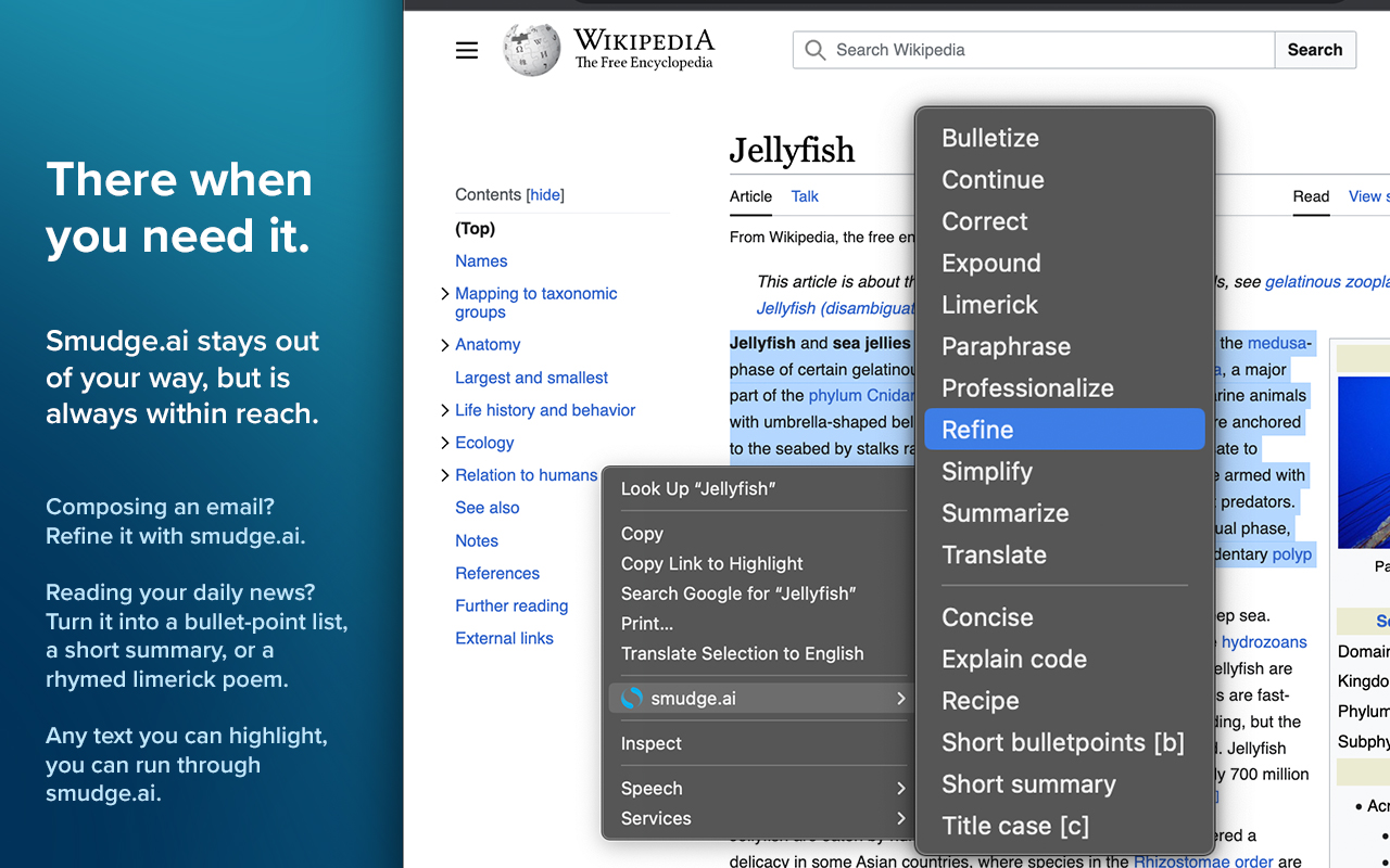 smudge.ai chrome谷歌浏览器插件_扩展第1张截图