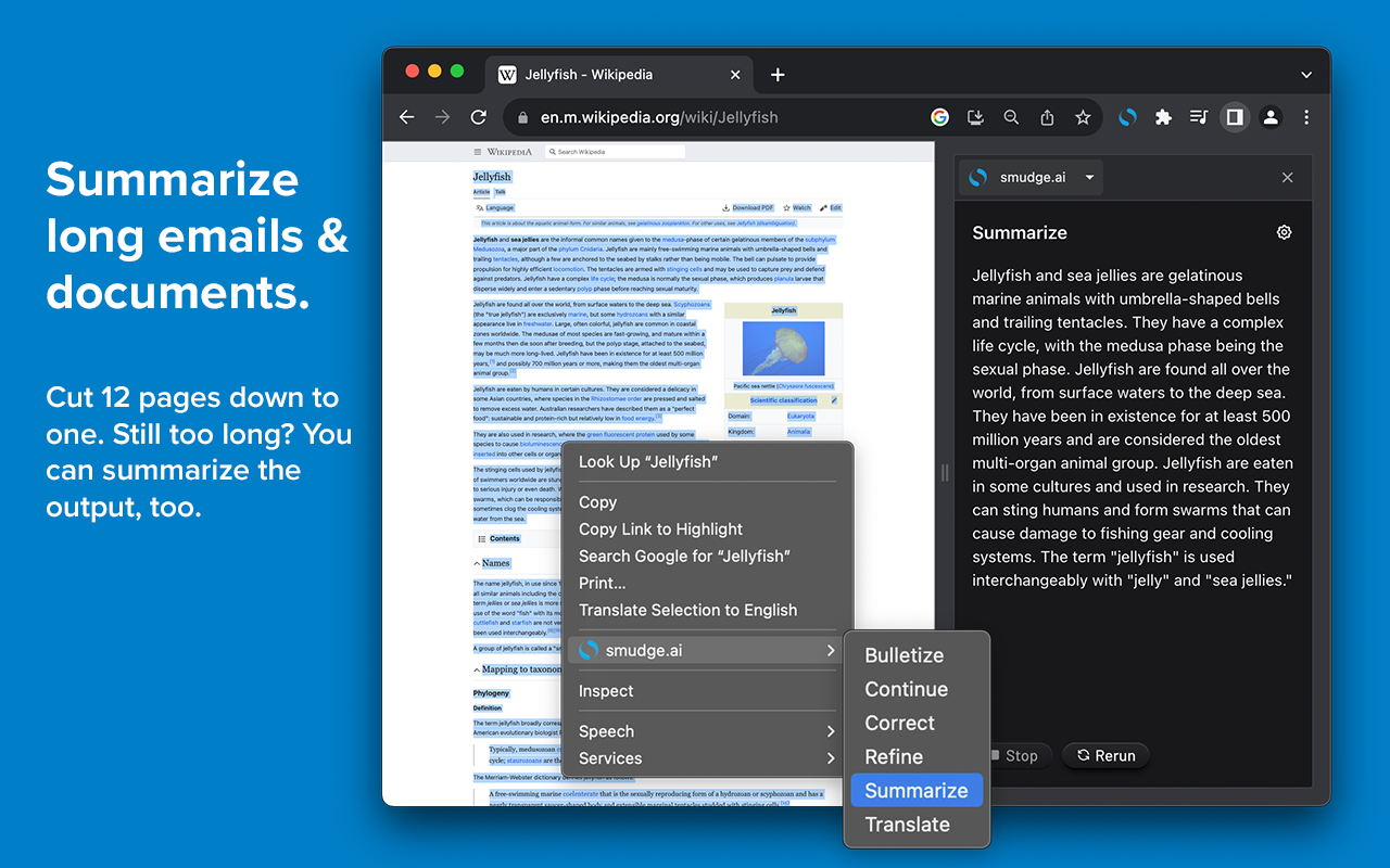 smudge.ai chrome谷歌浏览器插件_扩展第3张截图
