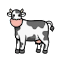 Cows Backgrounds