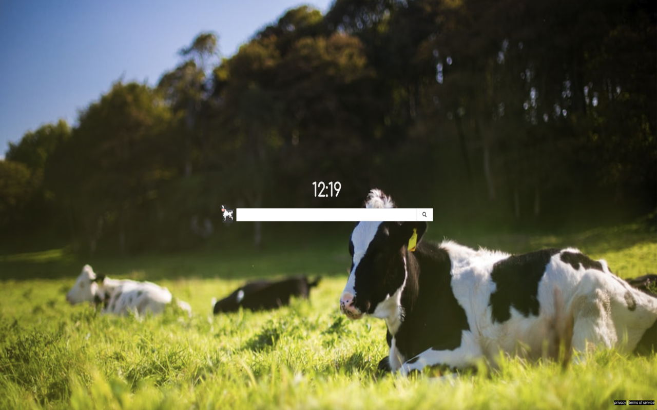 Cows Backgrounds chrome谷歌浏览器插件_扩展第1张截图