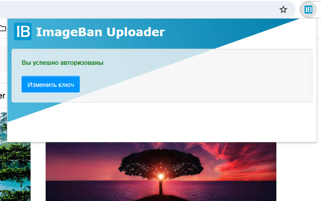 ImageBan Uploader chrome谷歌浏览器插件_扩展第1张截图