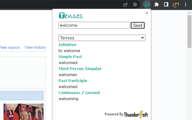 Tenses chrome谷歌浏览器插件_扩展第1张截图