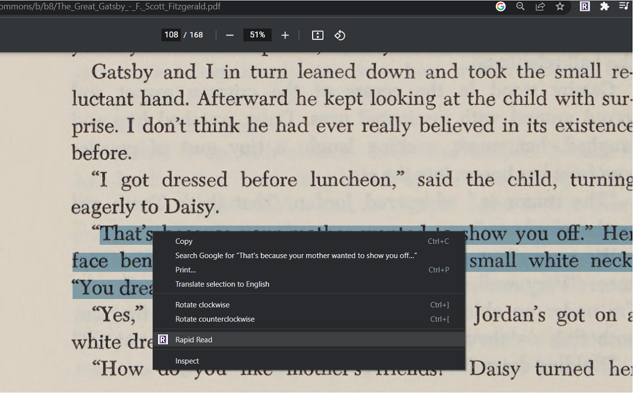 Rapid Reader chrome谷歌浏览器插件_扩展第3张截图
