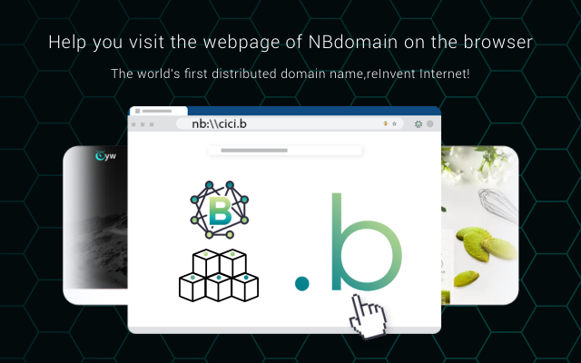 NBdomain chrome谷歌浏览器插件_扩展第3张截图