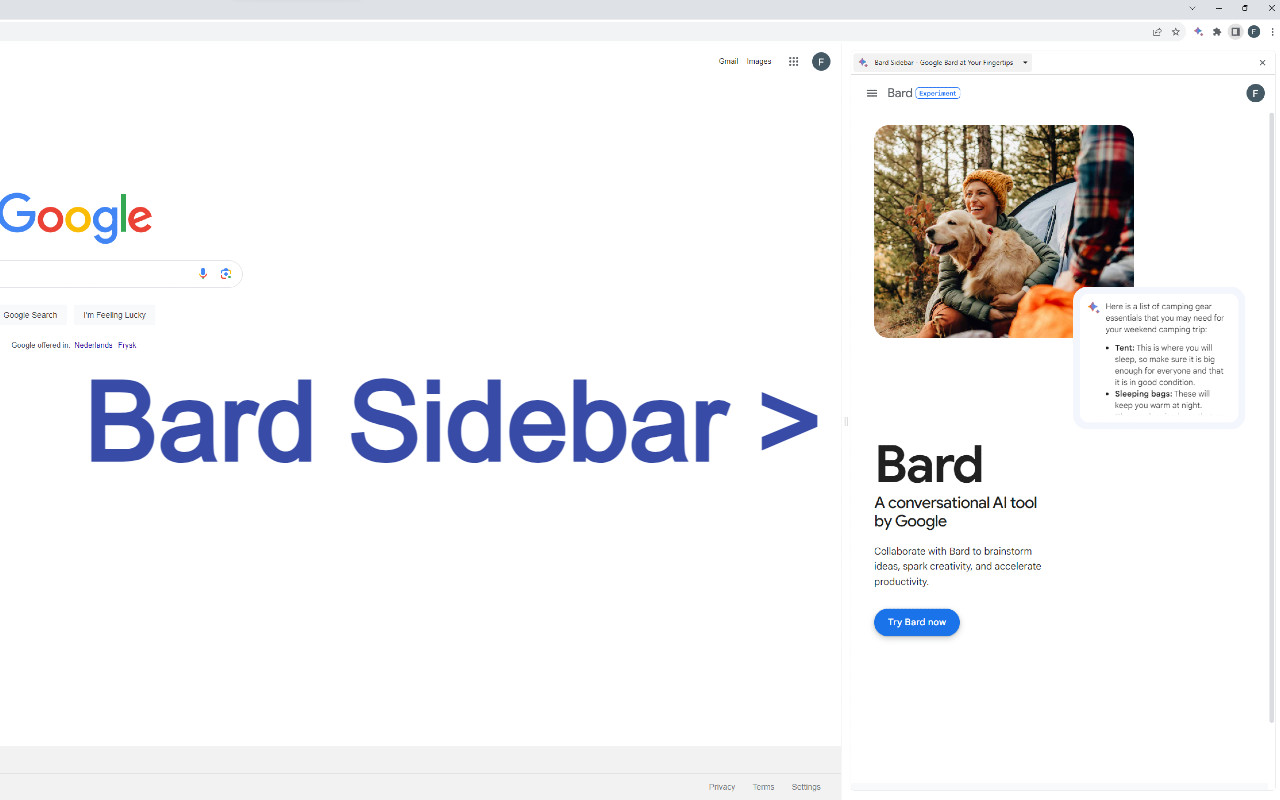 Bard AI Sidebar chrome谷歌浏览器插件_扩展第1张截图