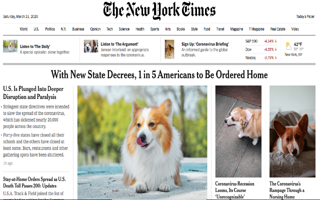 Corgi The News chrome谷歌浏览器插件_扩展第1张截图