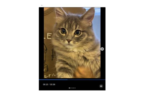 instagram video progress bar chrome谷歌浏览器插件_扩展第1张截图