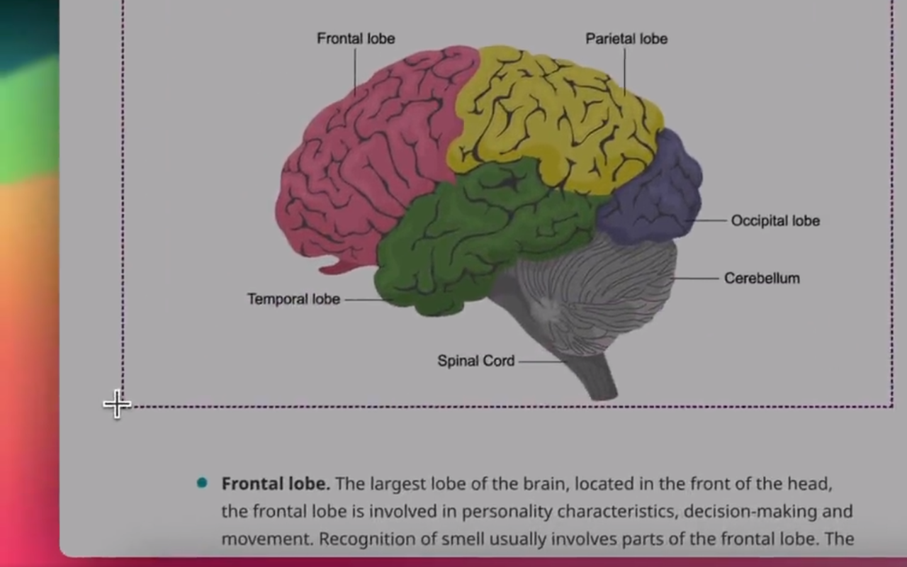 Mage chrome谷歌浏览器插件_扩展第3张截图