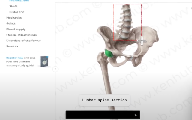 DoSearch. Screenshot to GPT-4 Vision chrome谷歌浏览器插件_扩展第1张截图