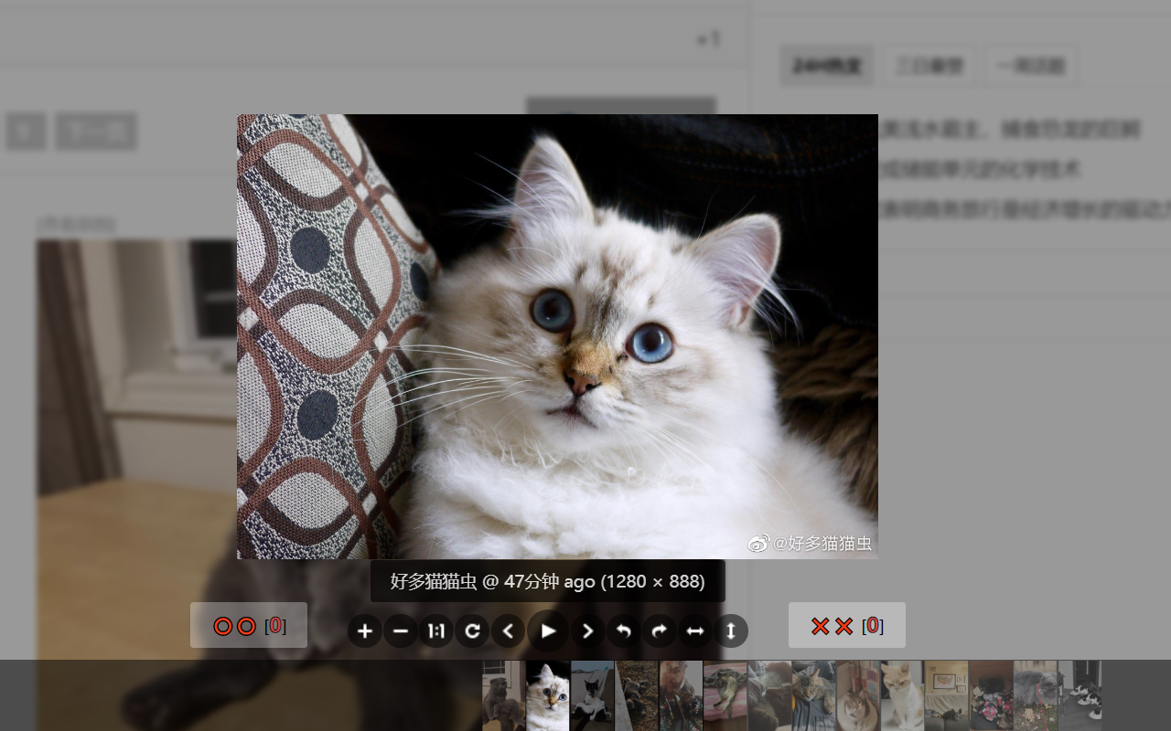 煎蛋小破站 chrome谷歌浏览器插件_扩展第2张截图