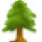 Spruce: Find quotes and lyrics