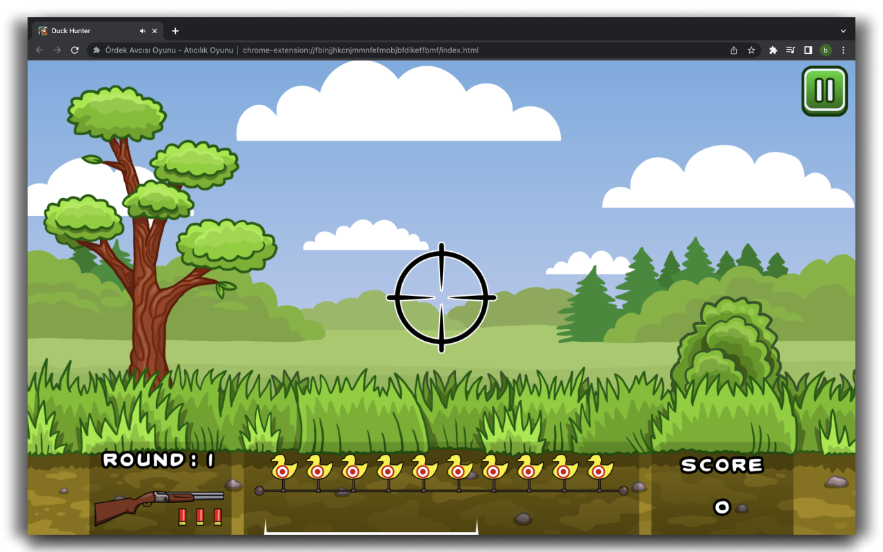 Duck Hunter Game chrome谷歌浏览器插件_扩展第2张截图