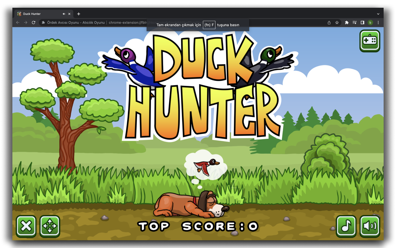 Duck Hunter Game chrome谷歌浏览器插件_扩展第3张截图