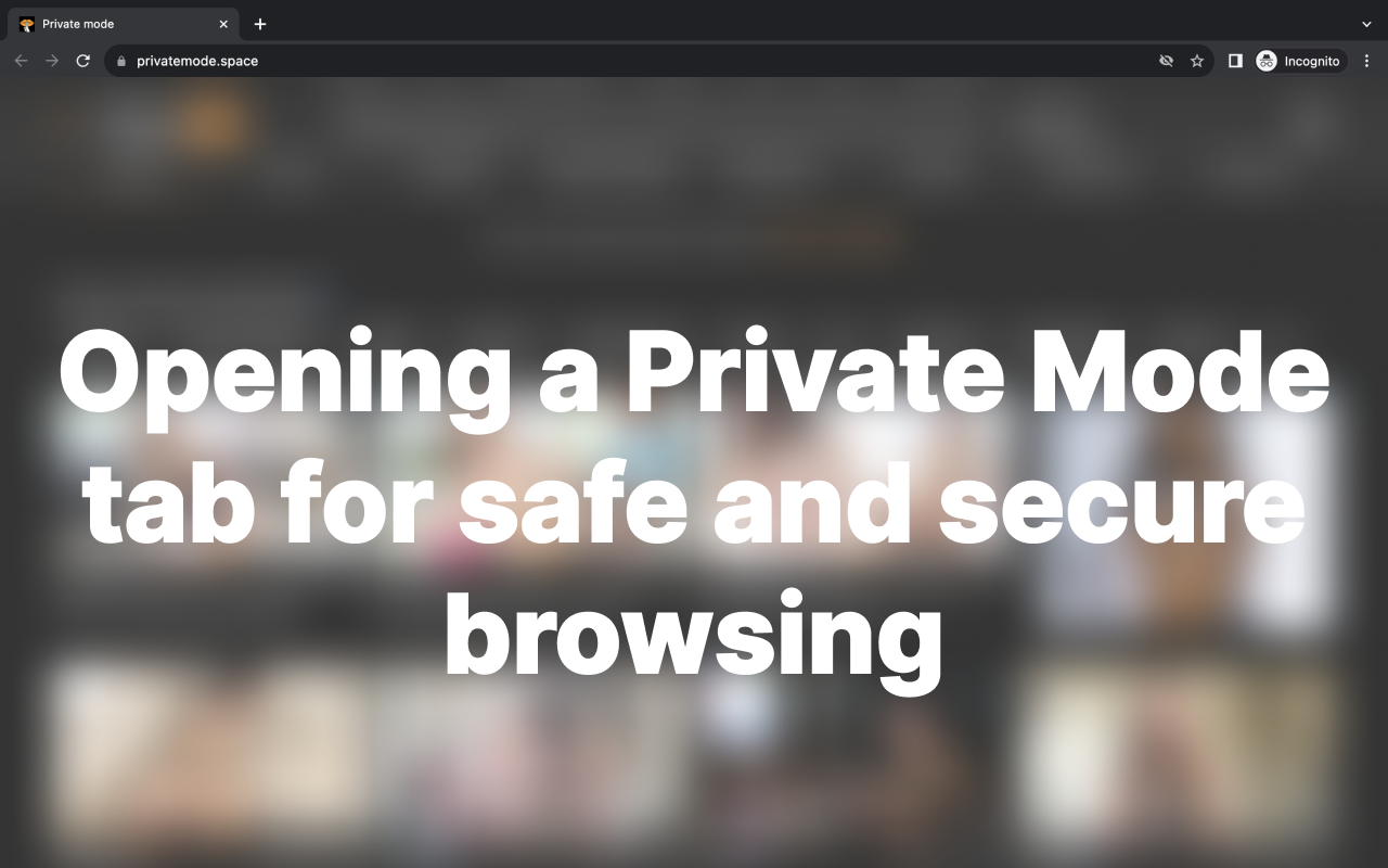 隐私模式 chrome谷歌浏览器插件_扩展第2张截图