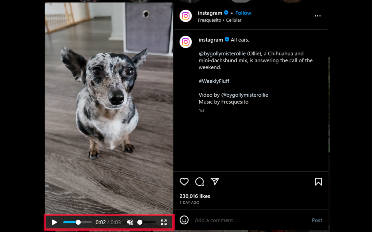 Video Control for Instagram chrome谷歌浏览器插件_扩展第1张截图