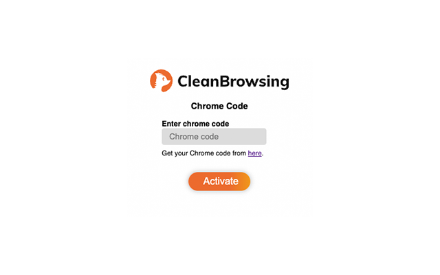 CleanBrowsing DNS Filtering for Schools chrome谷歌浏览器插件_扩展第3张截图