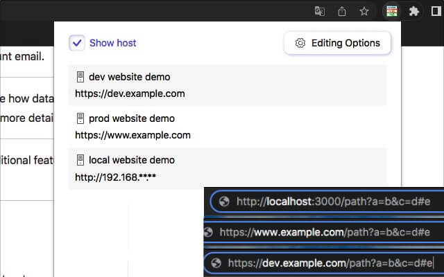 URL's Host Switcher chrome谷歌浏览器插件_扩展第2张截图