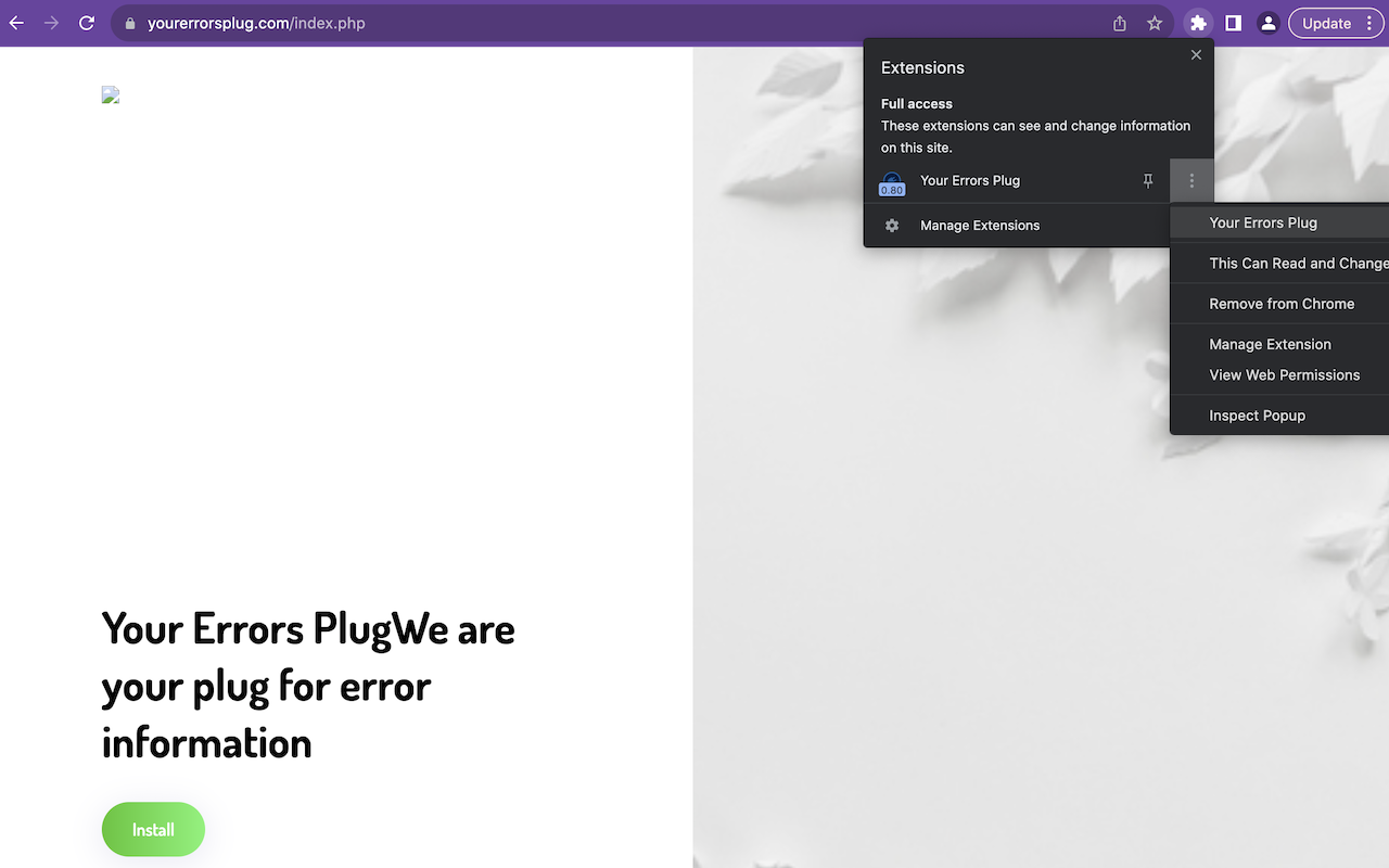 Your Errors Plug chrome谷歌浏览器插件_扩展第1张截图