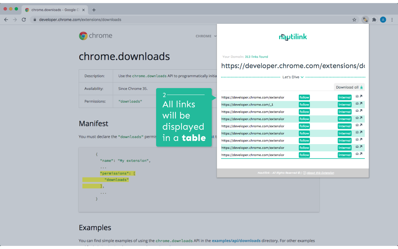 Nautilink - Anchor tag analysis in depth chrome谷歌浏览器插件_扩展第3张截图