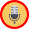 Voice Recorder