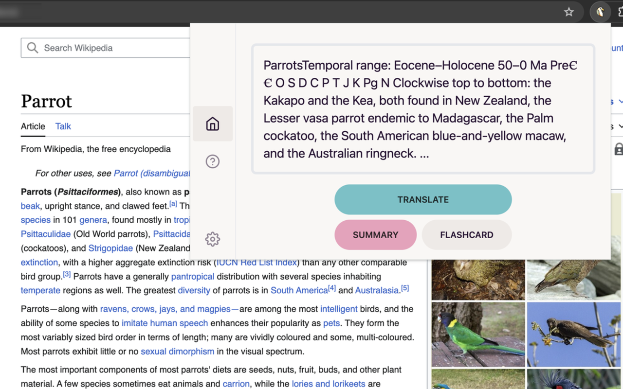 Doozy: AI Made Easy chrome谷歌浏览器插件_扩展第1张截图