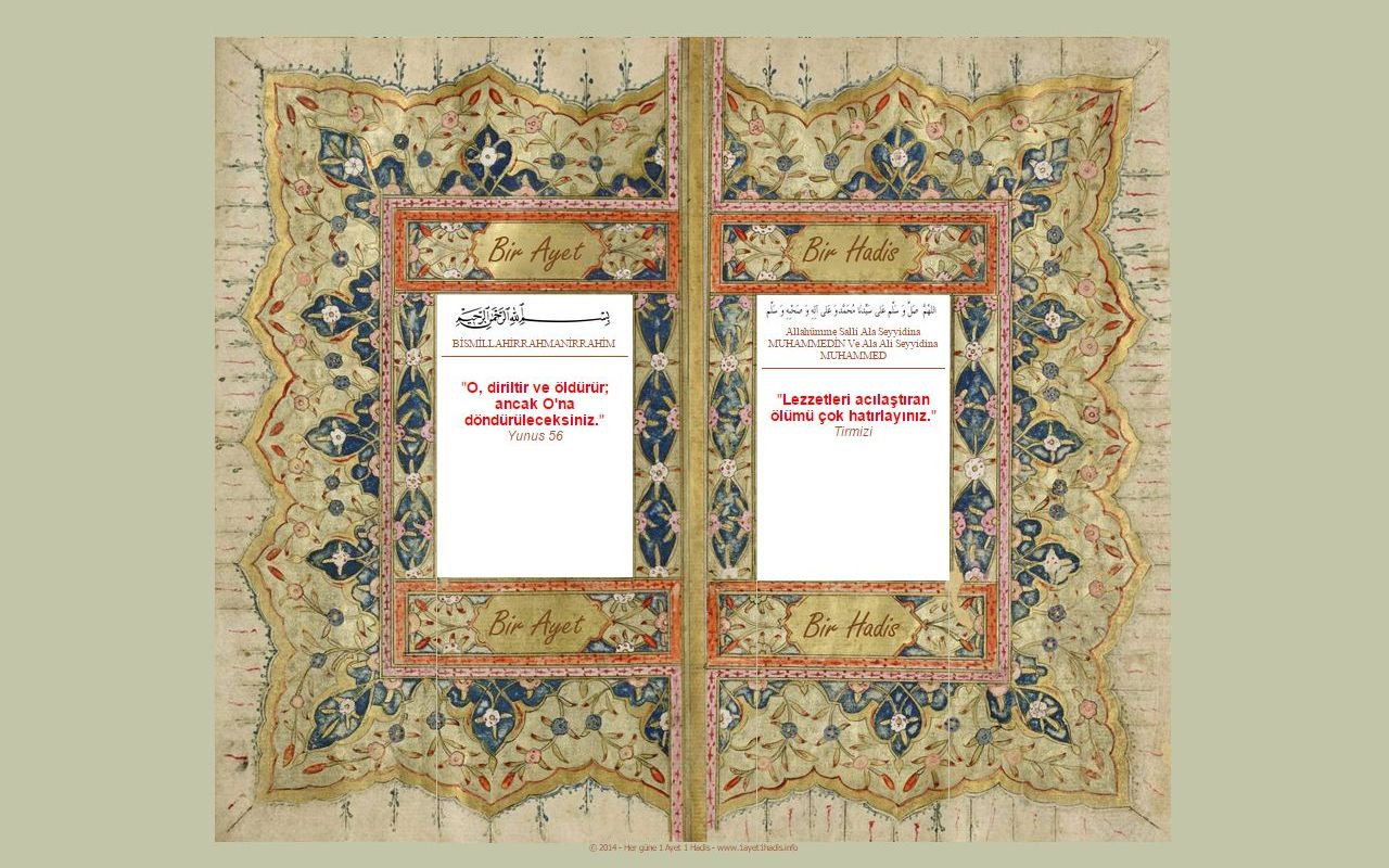 Her gune 1 Ayet 1 Hadis www.1ayet1hadis.info chrome谷歌浏览器插件_扩展第1张截图