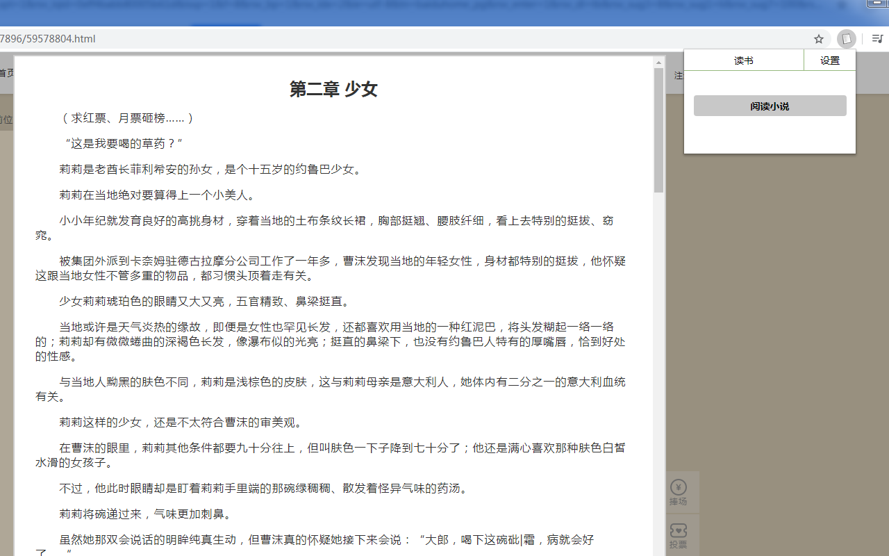 小说阅读助手 chrome谷歌浏览器插件_扩展第2张截图