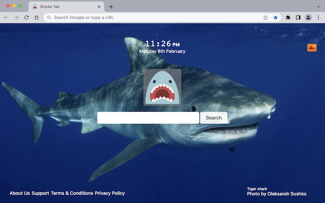 Sharks Tab chrome谷歌浏览器插件_扩展第1张截图