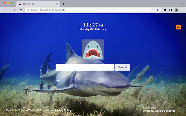 Sharks Tab chrome谷歌浏览器插件_扩展第3张截图