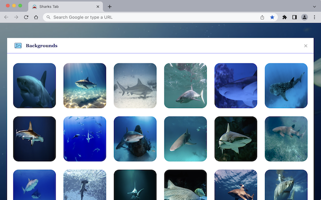 Sharks Tab chrome谷歌浏览器插件_扩展第4张截图
