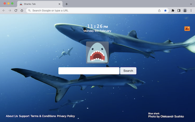 Sharks Tab chrome谷歌浏览器插件_扩展第5张截图